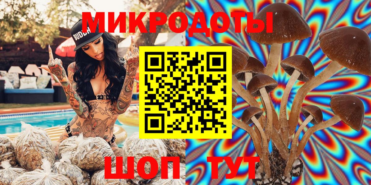 Псилоцибиновые грибы Cubensis Джанкой