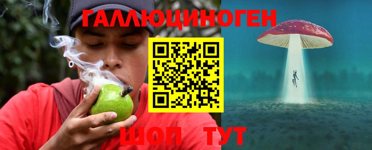 Псилоцибиновые грибы прущие грибы  Вход с VPN  Джанкой  Псилоцибиновые грибы Psilocybe 